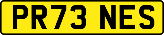 PR73NES