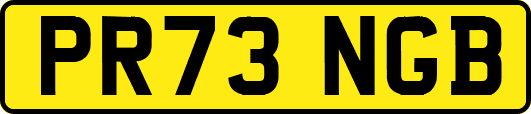PR73NGB