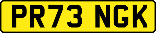 PR73NGK