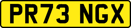 PR73NGX