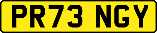 PR73NGY