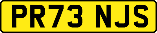 PR73NJS