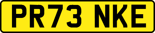 PR73NKE