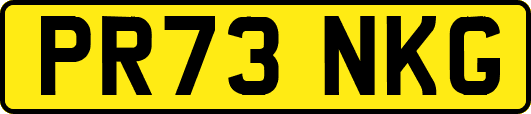 PR73NKG