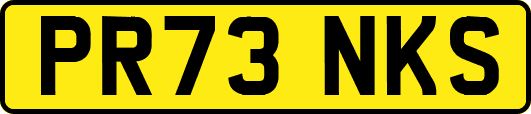 PR73NKS