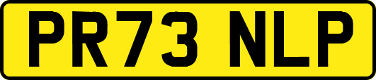 PR73NLP