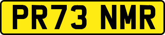 PR73NMR