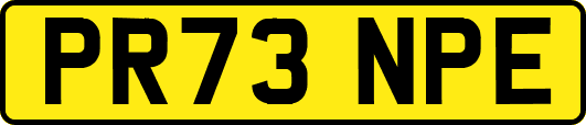 PR73NPE