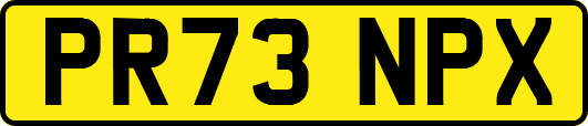 PR73NPX
