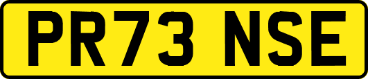 PR73NSE