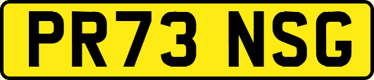 PR73NSG
