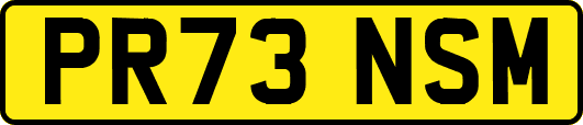 PR73NSM