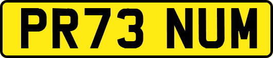 PR73NUM