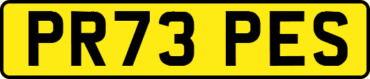 PR73PES