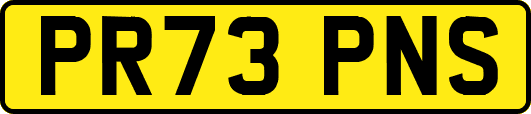 PR73PNS