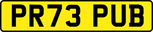 PR73PUB