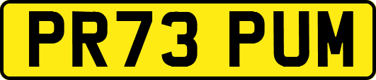 PR73PUM