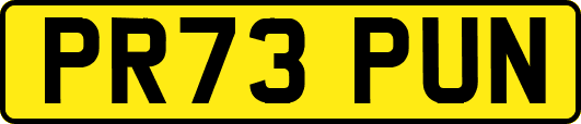 PR73PUN