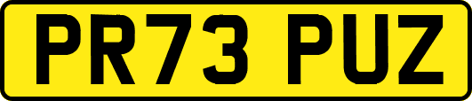 PR73PUZ