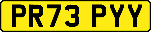 PR73PYY