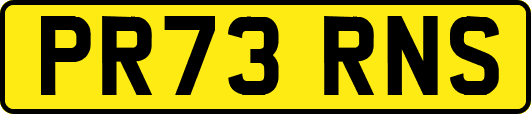 PR73RNS