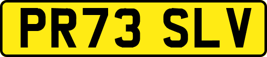 PR73SLV