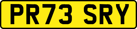 PR73SRY