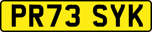 PR73SYK
