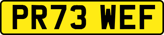PR73WEF