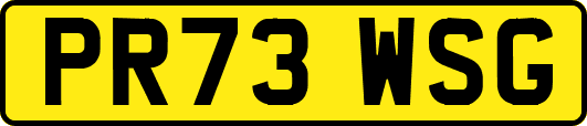 PR73WSG