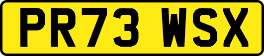 PR73WSX