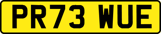 PR73WUE