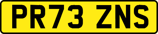 PR73ZNS