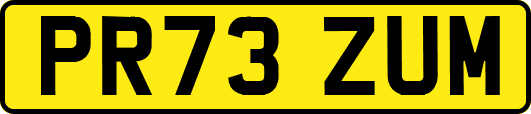 PR73ZUM
