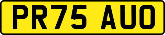 PR75AUO