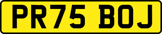 PR75BOJ