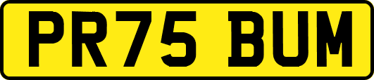 PR75BUM