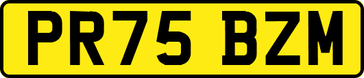 PR75BZM