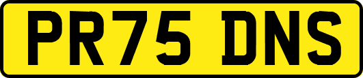 PR75DNS