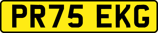 PR75EKG