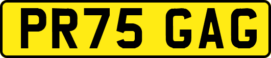 PR75GAG