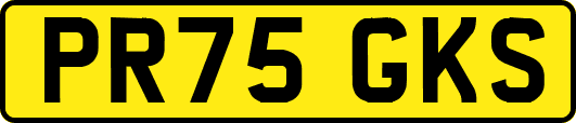 PR75GKS