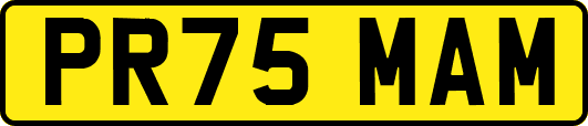 PR75MAM