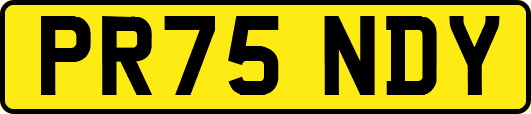 PR75NDY
