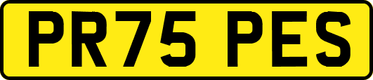PR75PES