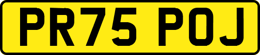 PR75POJ