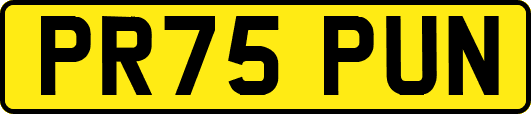 PR75PUN