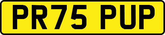 PR75PUP