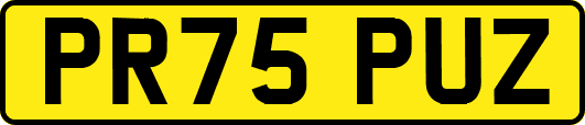 PR75PUZ