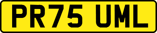 PR75UML